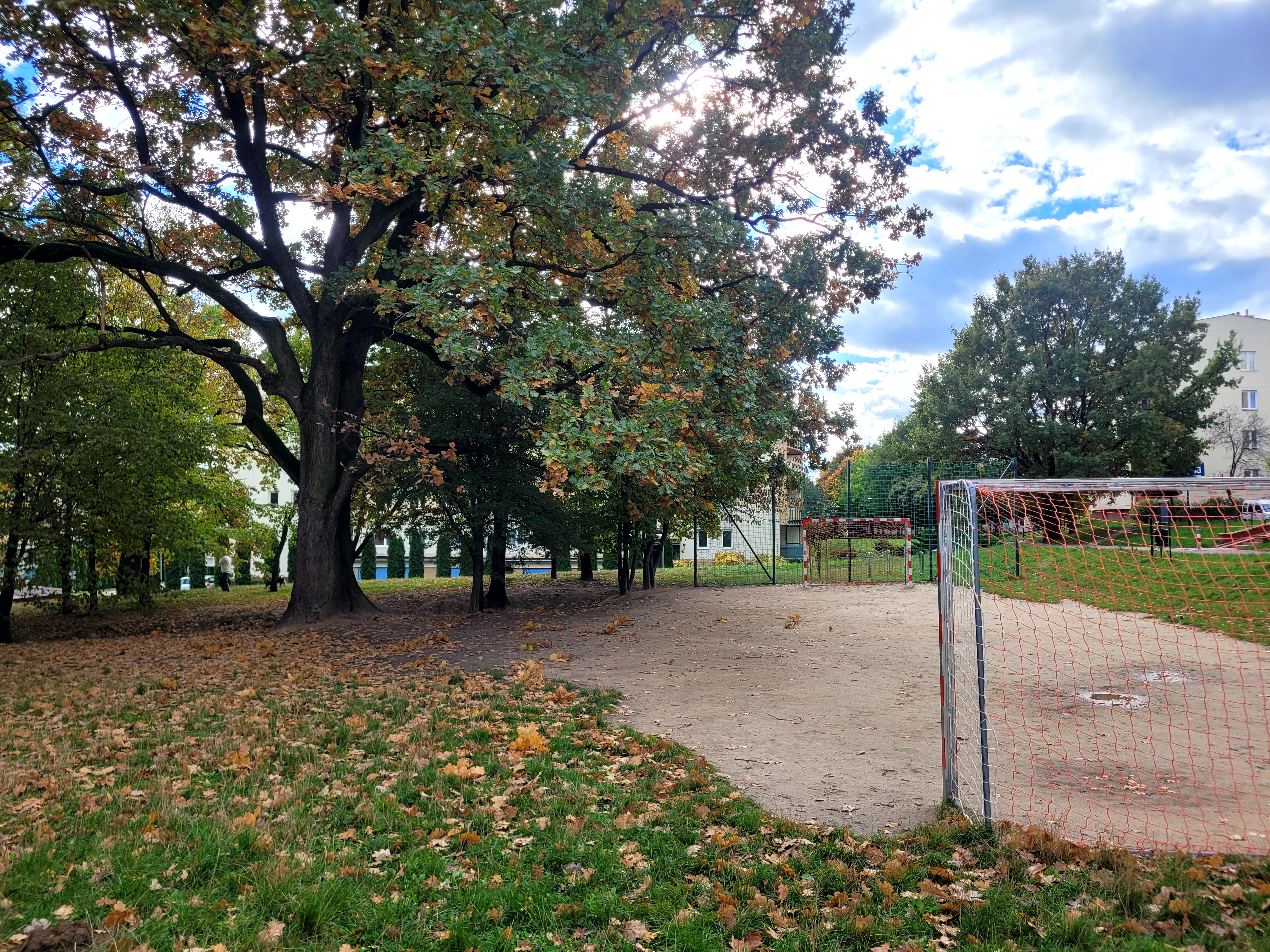 Boisko z dwiema bramkami otoczone jesiennymi drzewami i liśćmi, z budynkami w tle.
